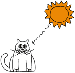 A Solar Cat